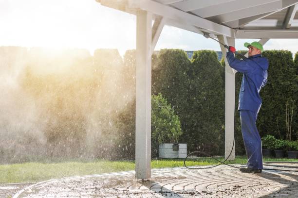 Best Sidewalk and Walkway Pressure Cleaning in Mission, TX