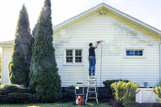Best Roof Cleaning and Mildew Removal in Mission, TX